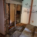 Dřevomorka v chatě v Poříčí