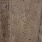 posouzení vzorků z kolektoru