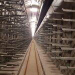 kolektor u hlávkova mostu