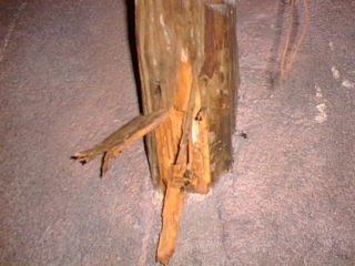 dřevěný trám zdevastovaný červotočem
