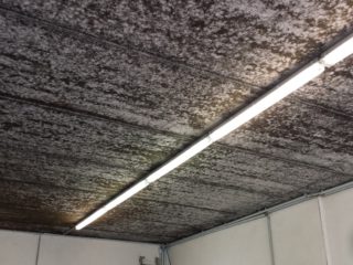 betonový strop s plísní